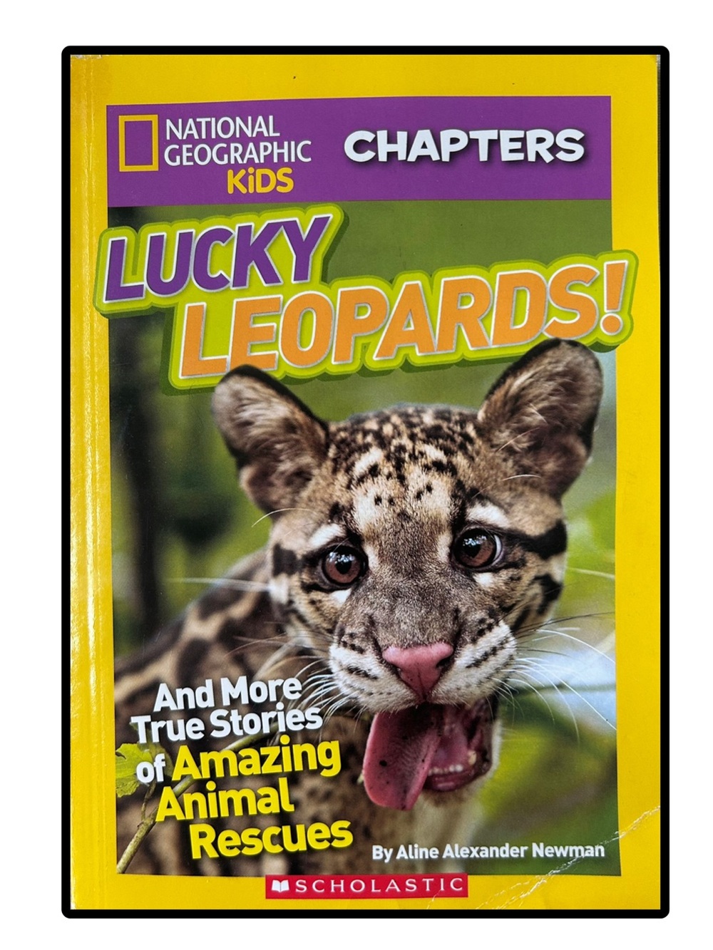 BUNDLE & SAVE 🐆National Geographic Lucky Leopards! Paperback Chapter Book